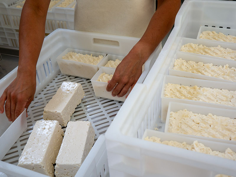 Käse machen nachhaltig La vinyeta