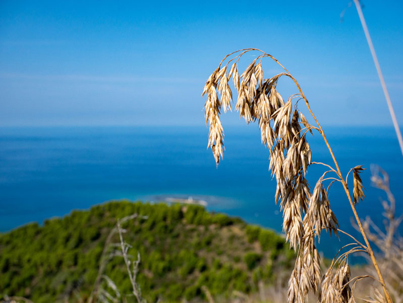 blick auf punta licosa isola monte licosa Nationalpark Cilento