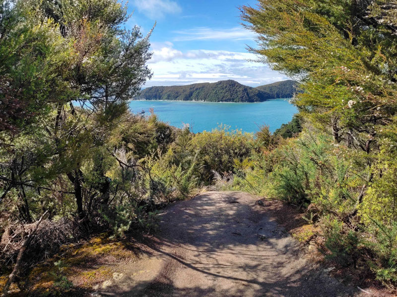 Ausblick Abel Tasman - Blaues meer