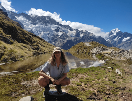 Die Südinsel Neuseelands: Von Fjorden, Bergen, Seen und Stränden